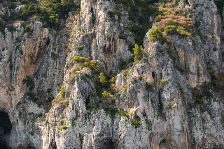 From Amalfi Coast Ports: Capri Transfer and Island Boat Tour From Minori