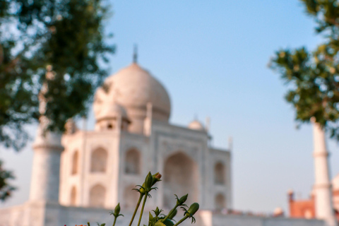 Excursión Taj Mahal - Fuerte de Agra en tren superrápido desde Delhi(Sólo coche + acompañante turístico)