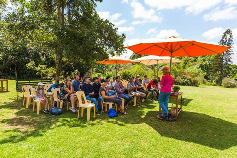 Tour de día completo por la Granja de Té Kiambethu