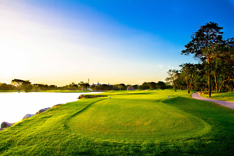 Play Hard Rock Golf Course W/Clubs