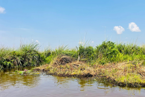 From Kampala: Mabamba Swamp Birding Half-Day Tour From Kampala: Mabamba Swamp Birding Day Tour