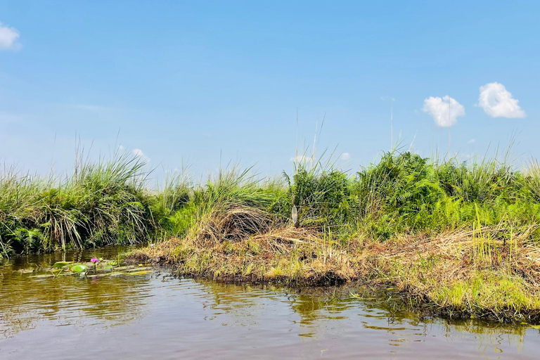 From Kampala: Mabamba Swamp Birding Half-Day Tour From Kampala: Mabamba Swamp Birding Day Tour