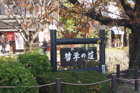 E-Bike Tour in Kyoto with Asuka, Japanese graduate student