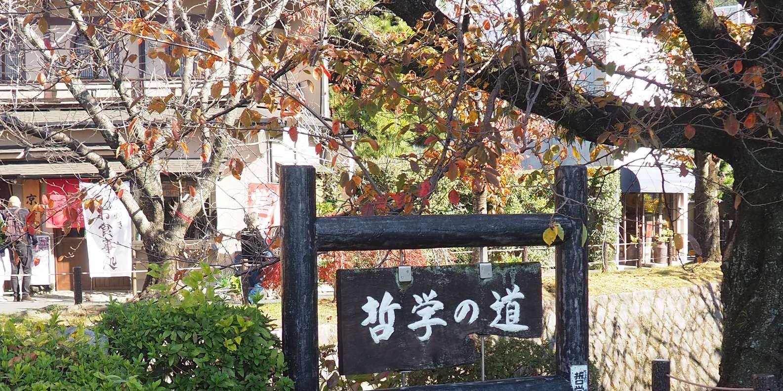 Kyoto experience — temples, geisha, bamboo grove — image 55