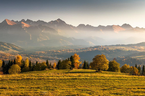زاكوباني: مغامرة ركوب العربات مع نار المخيم والنقل