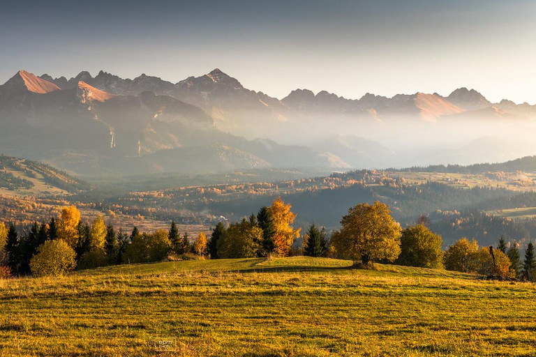 زاكوباني: مغامرة ركوب العربات مع نار المخيم والنقل