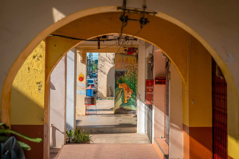 Khao Lak: Highlights mit Tempel-, Schildkröten- und ElefantentourenKhao Lak: Highlights mit Tempeln, Schildkröten und Elefanten-Touren