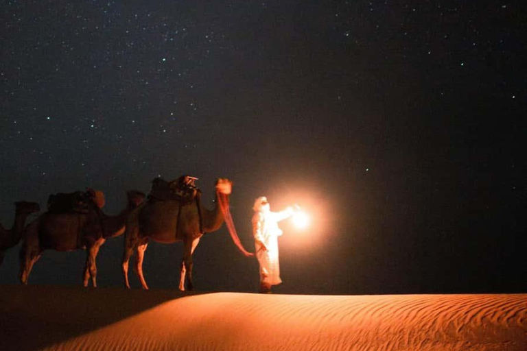 Doha: Night Desert Safari Stargazing & Camel Ride Shared Tour Pick-up From Meeting Point Without Camel ride