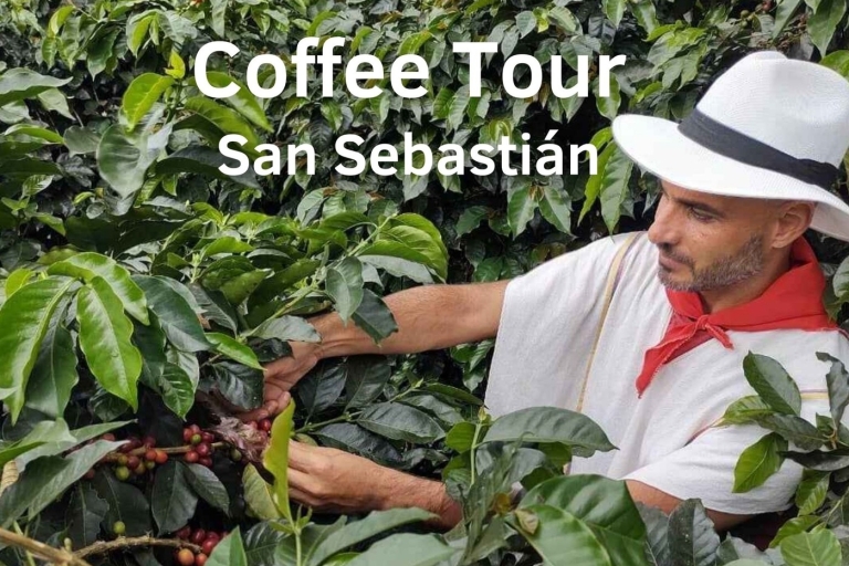 Vom Bauernhof zur Tasse: Die ultimative Kaffee-Tour