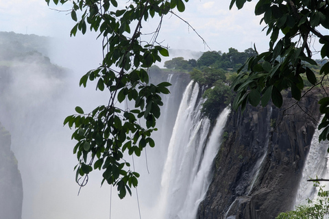 Full Victoria Falls Experience – Private & Slow-Paced