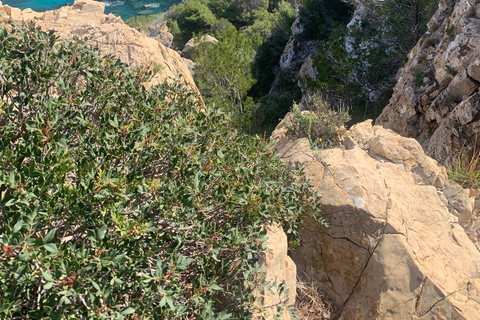 Serra Tramuntana: unvergessliche leichte Wanderung mit schönen Aussichten