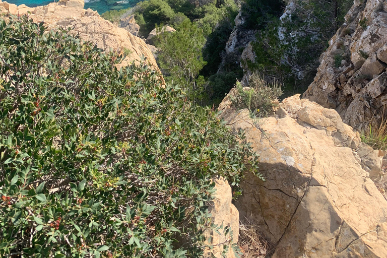 Serra Tramuntana: unvergessliche leichte Wanderung mit schönen Aussichten