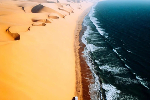 الدوحة: رحلة سفاري في الصحراء، وقيادة على الكثبان الرملية، والتزلج على الرمالDoha: Desert Safari, Dune Bashing, and