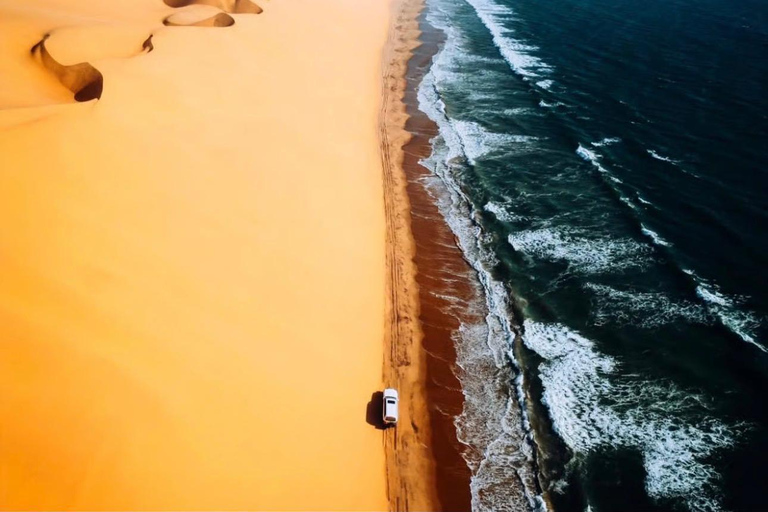 الدوحة: رحلة سفاري في الصحراء، وقيادة على الكثبان الرملية، والتزلج على الرمالDoha: Desert Safari, Dune Bashing, and