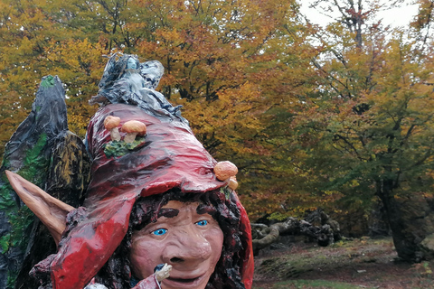 Cangas de Onís: Route in het bos van Vegabaño met lunch in een berghut