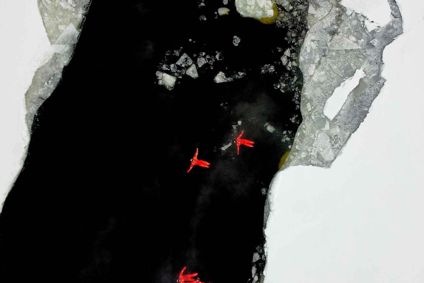 Polar Explorer Aurora Icebreaker Cruise & Ice Floating