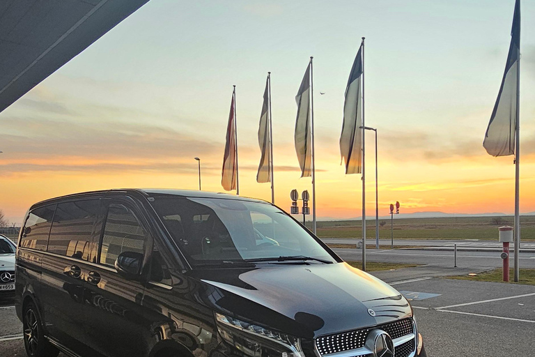 Vienna: Guided city tour with a local guide (vehicle included)