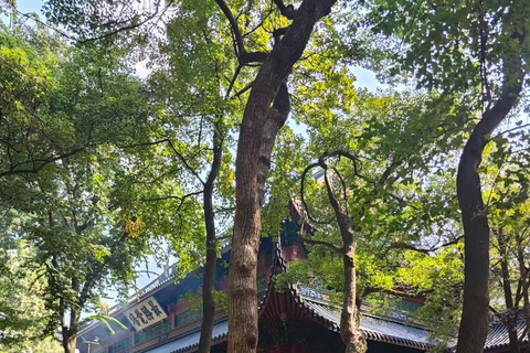 Hangzhou: Lingyin Temple & Feilai Peak Entry