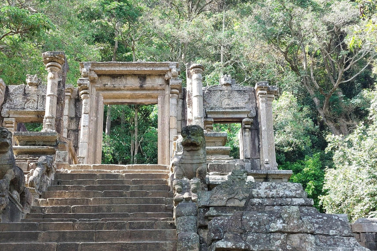 Sigiriya: Minneriya Safari, Yapahuwa Rock & Colombo Drop-off Sigiriya: Minneriya Safari, Yapahuwa Rock & Negombo Drop-off