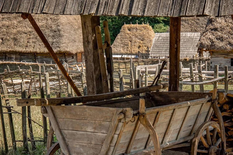Brașov: Dumbrava Sibiului Museum & Sibiu Day Trip