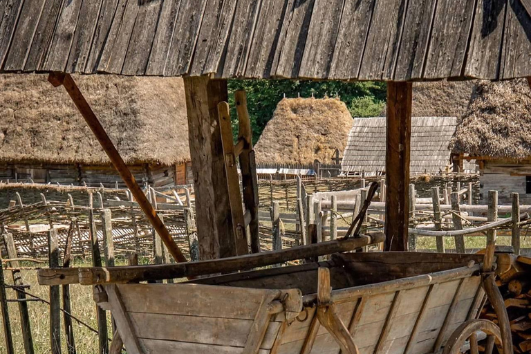 Brașov: Dumbrava Sibiului Museum & Sibiu Day Trip