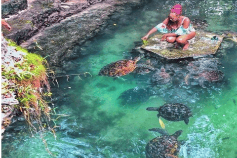 Sansibar: Nungwi Village Tour und Schwimmen mit Schildkröten