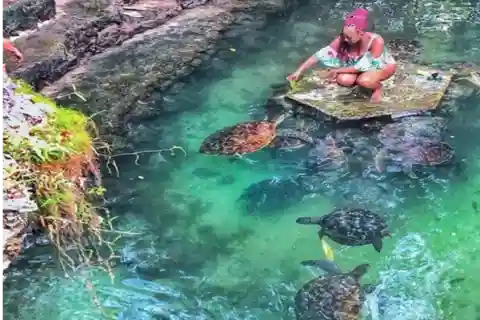 Zanzíbar: Excursión a la Aldea Cultural de Nungwi y Nado con Tortugas