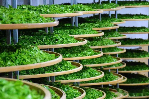 Guilin: City Tour with Elephant Hill & Ming Tea Tasting