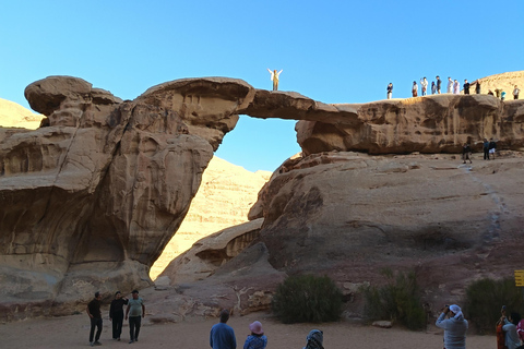 overnight: sleep under the stars in the cave in Wadi Rum Protected Area Caml tour