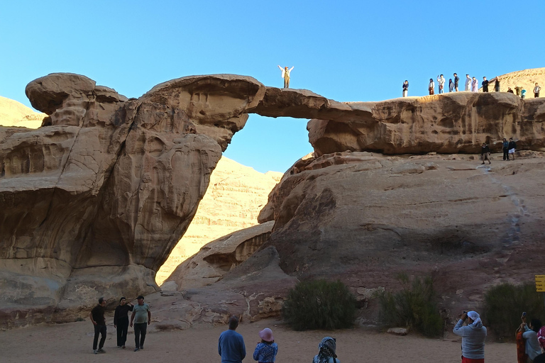 overnight: sleep under the stars in the cave in Wadi Rum Protected Area Caml tour