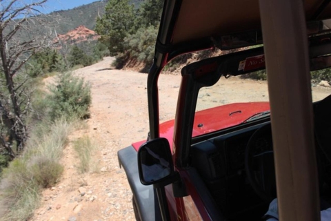 Sedona : Excursion panoramique en jeep à Red Rock