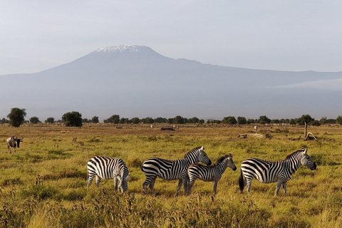 3 Days Amboseli National Park Including Masai Village Visit