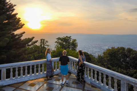 Chiang Mai: Elephant Sanctuary & Watch Sunrise at Temple