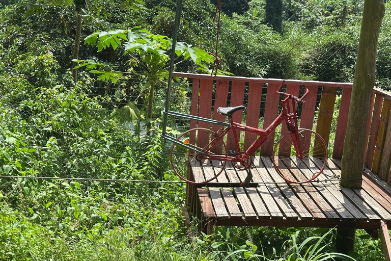 From Accra: Asenema Waterfalls and Zipline Adventure Tour
