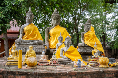 Bangkok do Ayutthaya: Przygoda w małej grupie z lunchem