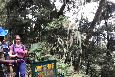 4 Days Queen Elizabeth Park Safari & Ruwenzori Mountain View