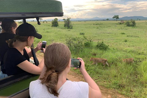 8days Serengeti np,ngorongoro conservation area,tarangaire Serengeti np,ngorongoro conservation area and tarangaire np