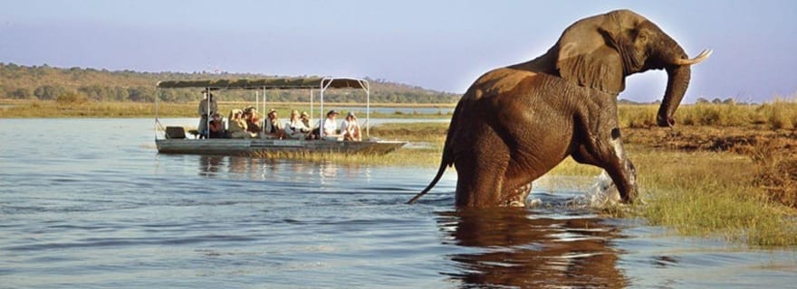 Safari d'une journée à Chobe et dîner dans un boma au départ des chutes Victoria