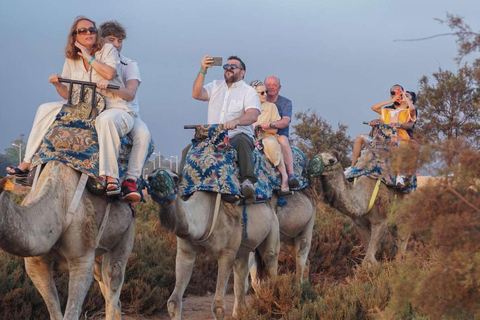 Agadir: Camel Ride by Souss River with Hotel Pickup
