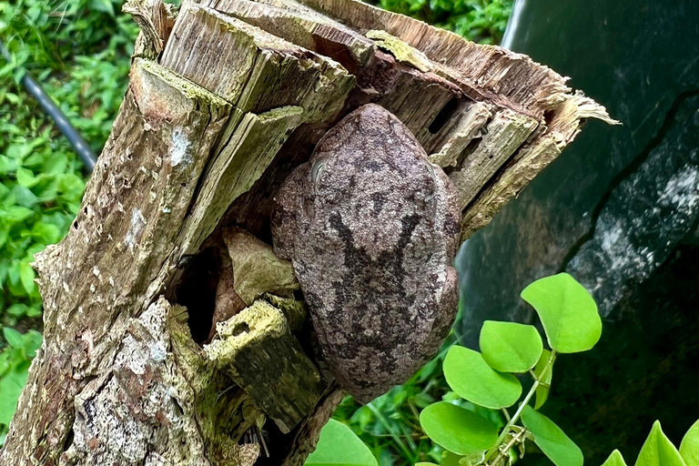 A Day of Cultural Visit to an Indigenous Community near Santa Marta