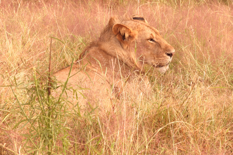 6 Days Tanzanian Safari Serengeti Wonders & Crater Magic