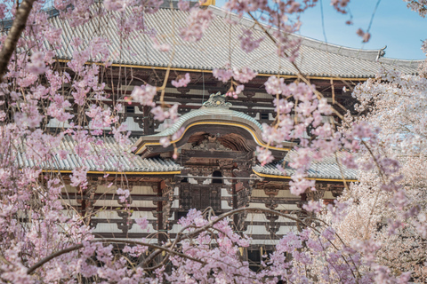 Nara Cherry Blossom Highlights Spring Day Tour from Osaka Shared Tour, Meet at Tsurutontan Soemoncho