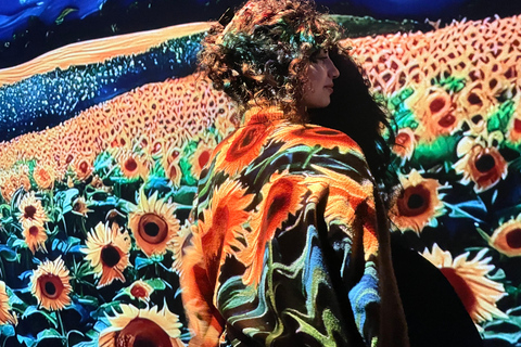 Gecombineerd ticket: Digitale tentoonstelling &amp; Illusiemuseum