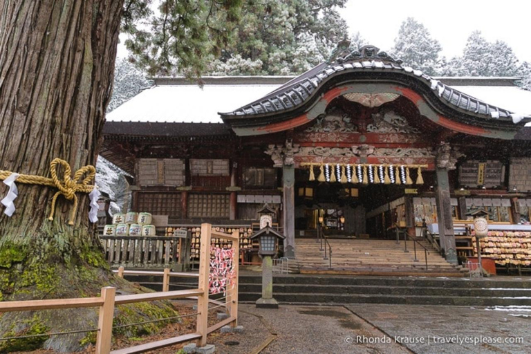 From Tokyo: Private Mount Fuji Day Trip with Driver