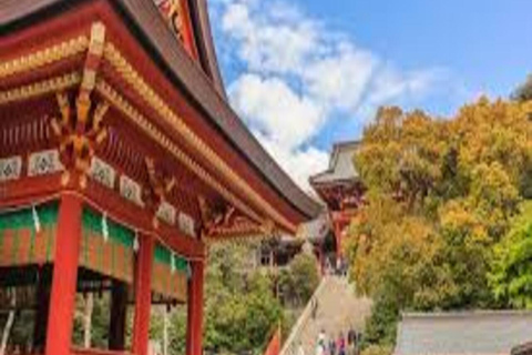 Tokyo: 2-Day Guided Tour with Kamakura & Hotel Pickup