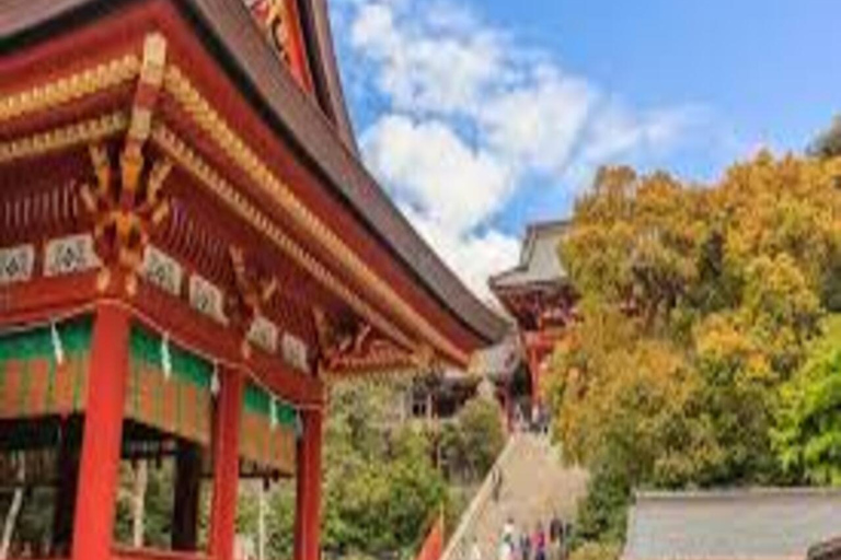 Tokyo: 2-Day Guided Tour with Kamakura & Hotel Pickup