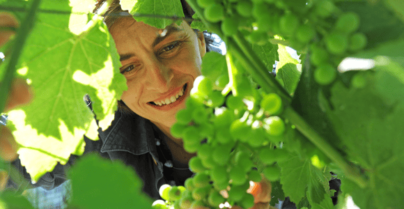 Castle Winery Tour & Tasting near Lake Maggiore