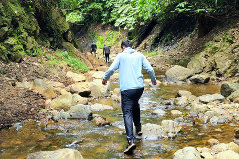 Panamá: La Experiencia de la Selva Tropical de ChagresTour en español