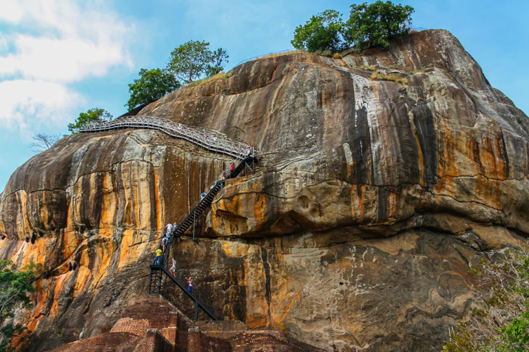 From Colombo: Sigiriya, Dambulla & Minneriya Safari Day Tour