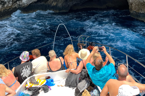 Zakynthos : Tour en bateau à fond de verre vers l'épave et les grottes bleuesTour en bateau à fond de verre pour découvrir les épaves, les grottes et la plage blanche